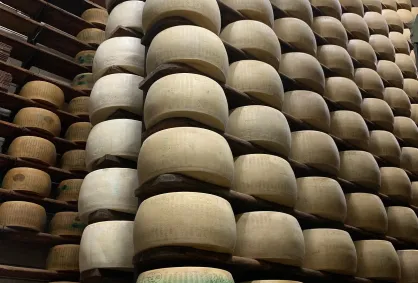 Jak powstaje najsłynniejszy ser świata? Zgłębiaj z nami tajemnice Parmigiano Reggiano!